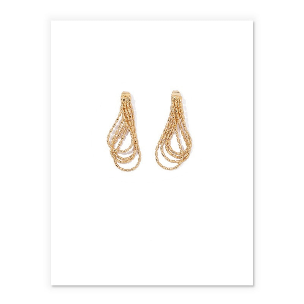 Fashionable Temperament Ins Personalized New Tassel Earrings