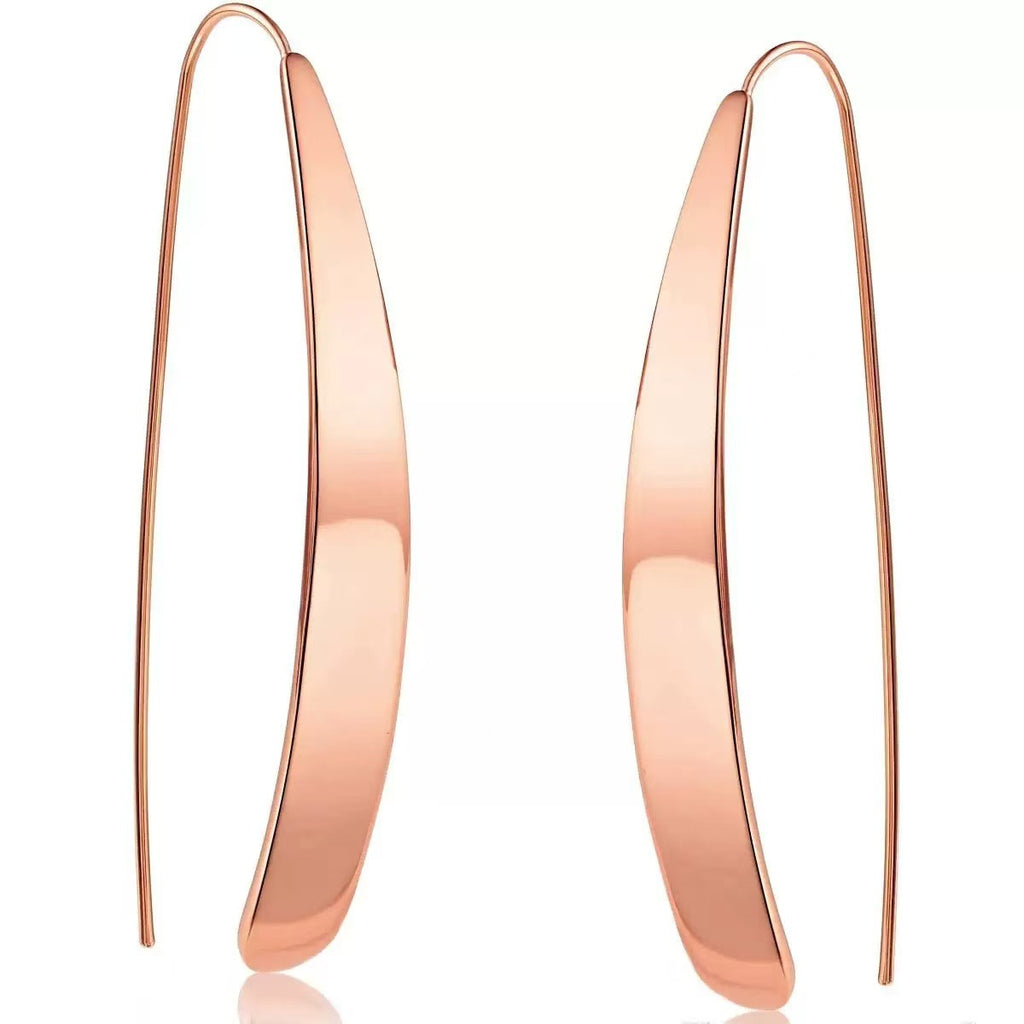 Minimalist Geometric Stainless Steel Ear Hooks